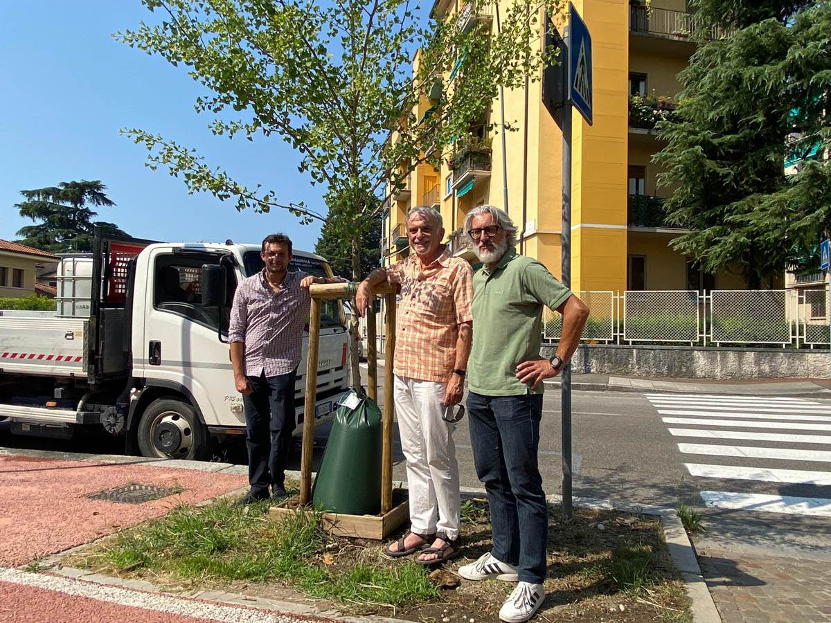 Sistema irrigazione goccia con sacchi (2) Federico Benini, Lorenzo Dalai e Luigi Fiorio