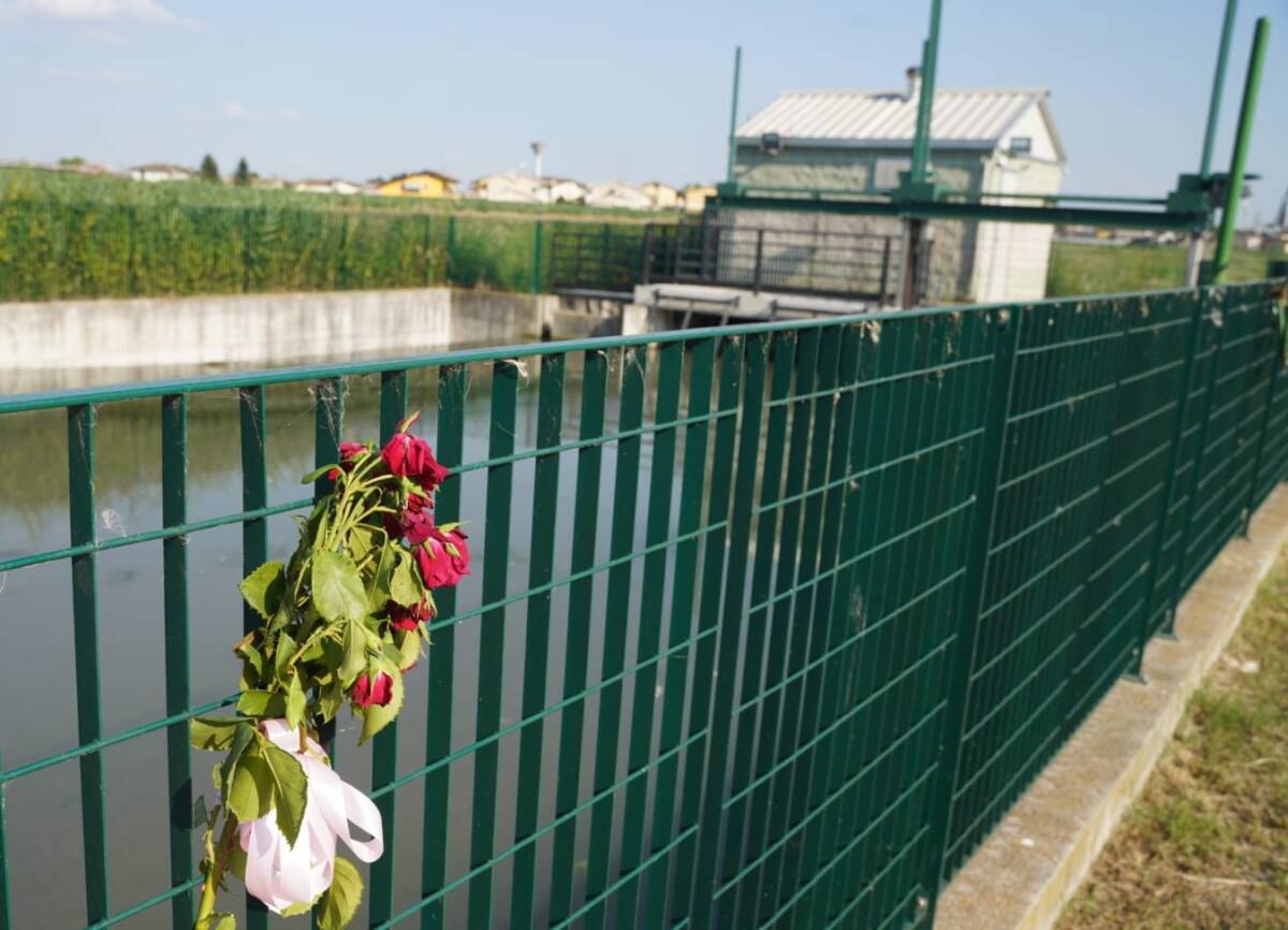 Vigasio ragazza morta nel Tartaro - fiore