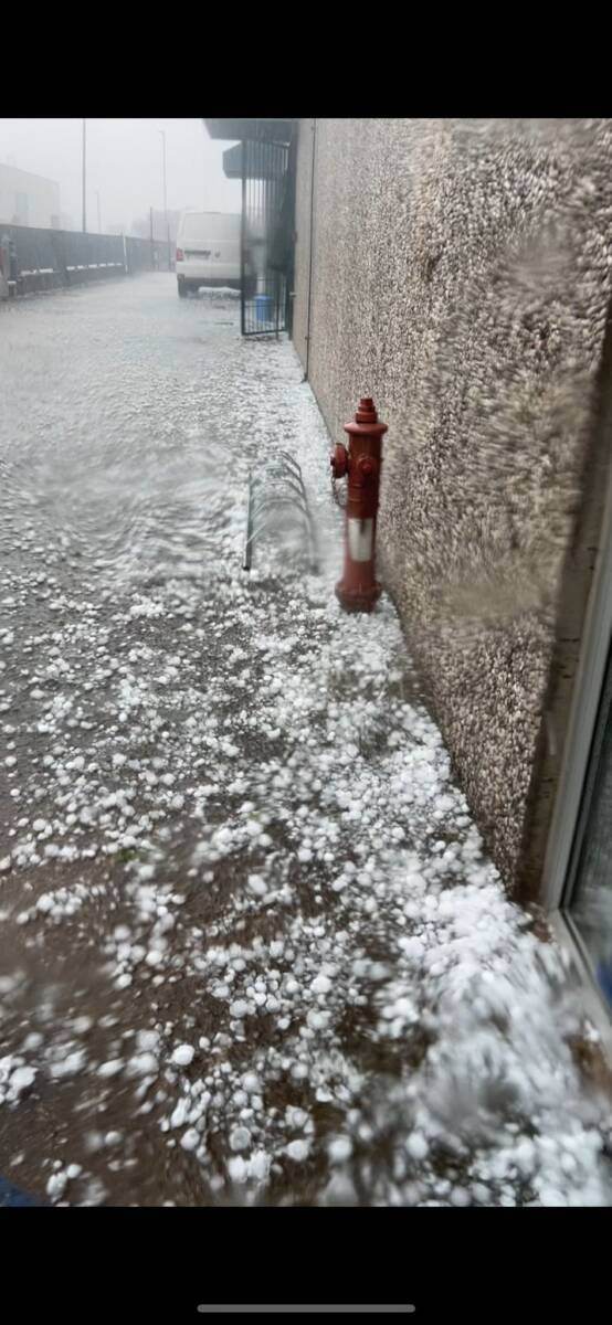 grandinata est veronese