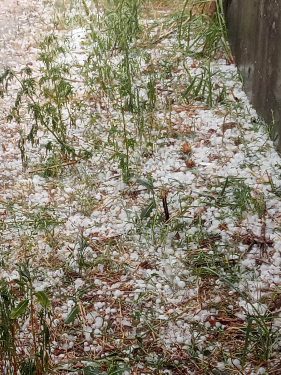 grandinata est veronese