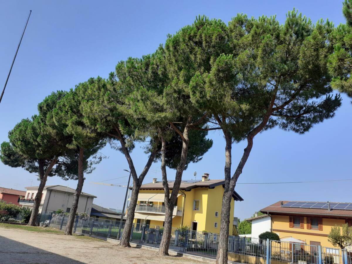 scuole Ca di david (1)