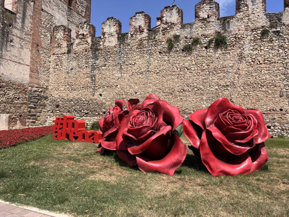soave rose rossini arena