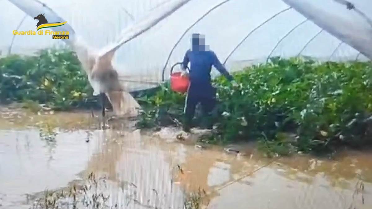 Caporalato - Guardia di Finanza