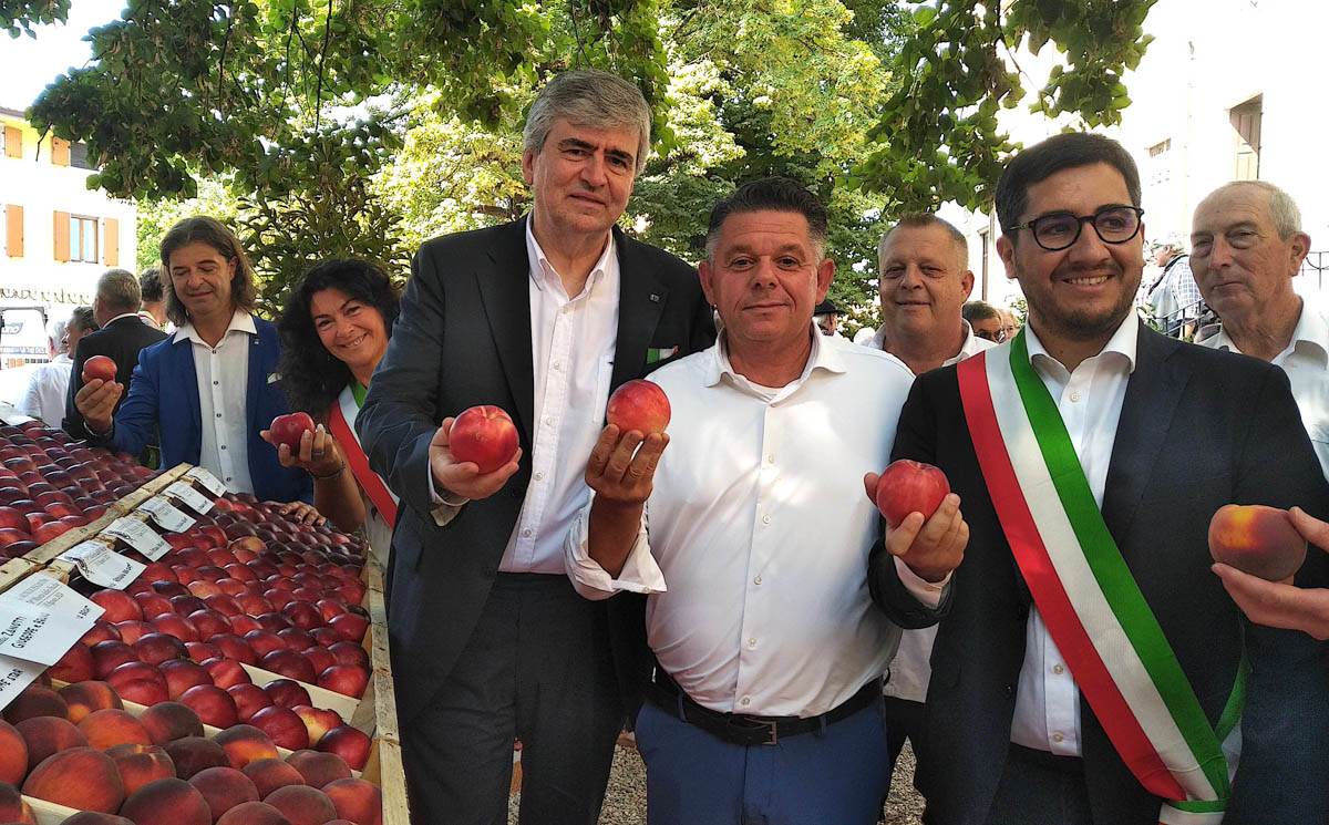 Mostra delle Pesche di Pescantina 2024