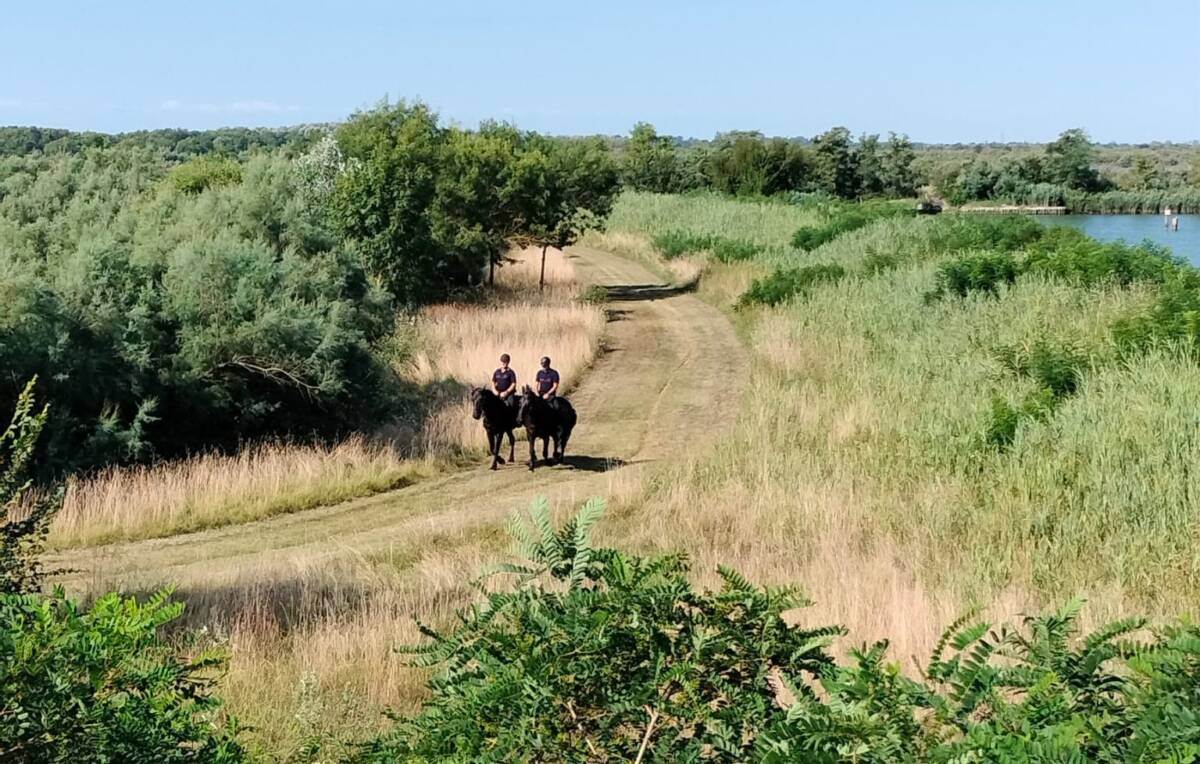 carabinieri forestali cavallo