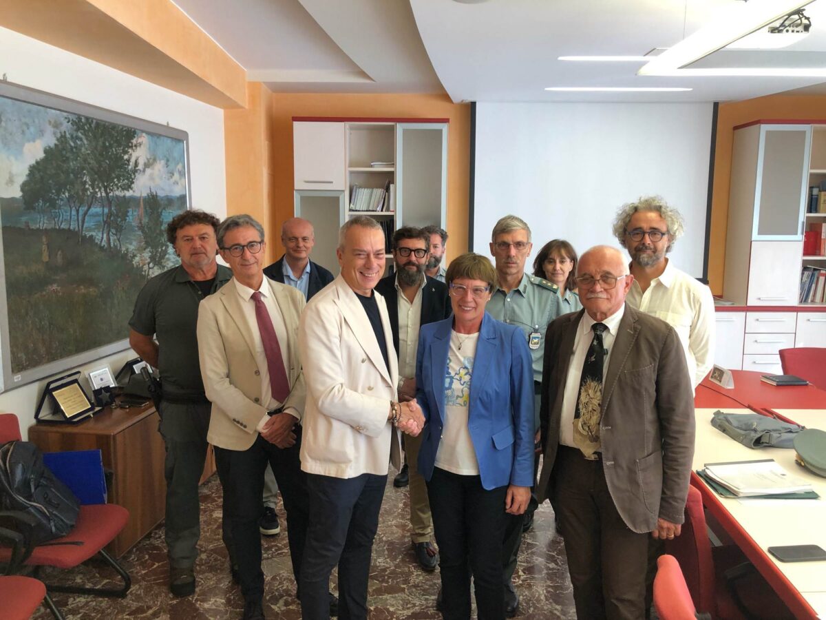 peste suina cinghiali ulss 9