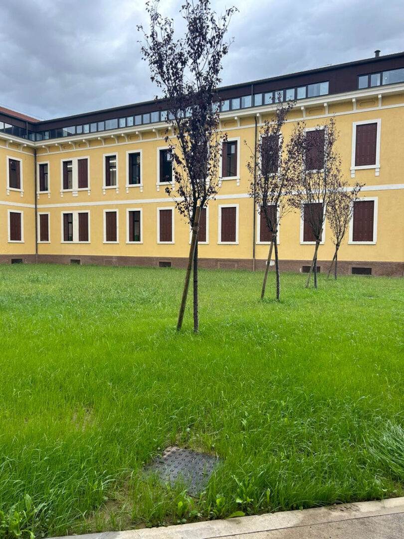 Lavori di ammodernamento alla scuola elementare di Soave