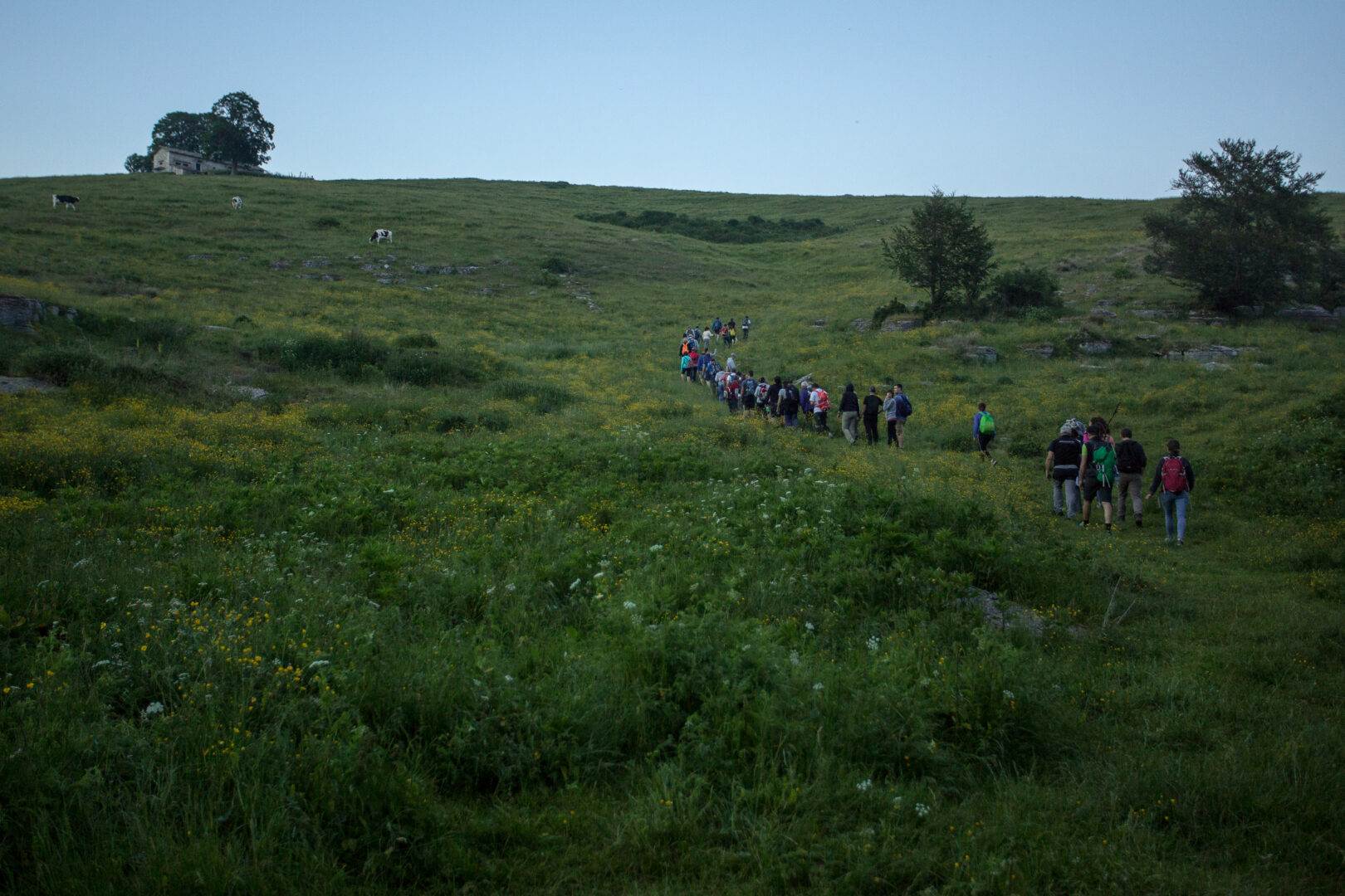 Alti Pascoli Lessinia Magic Moonlight escursioni