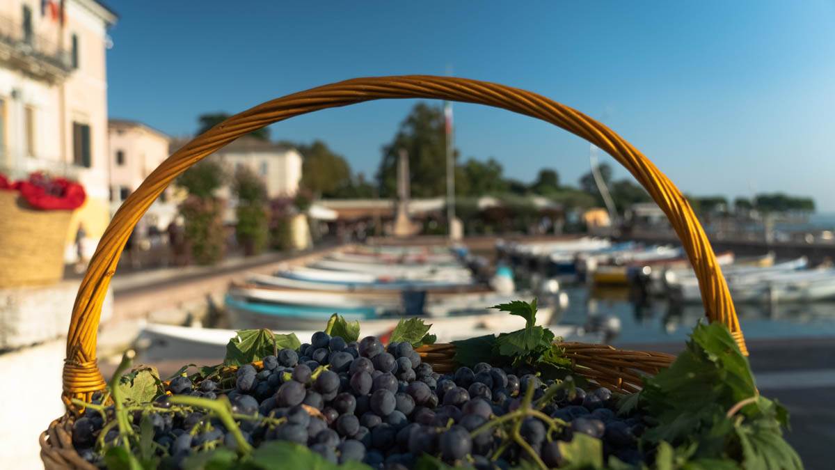 Festa dell'uva e del vino Bardolino