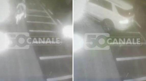 viareggio scippo ladro investito