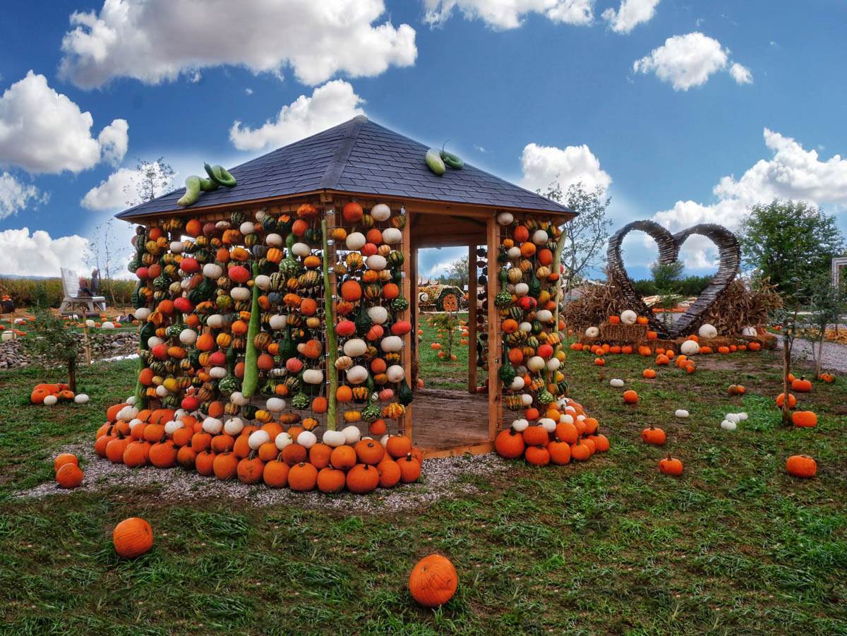 villaggio delle zucche nonno andrea