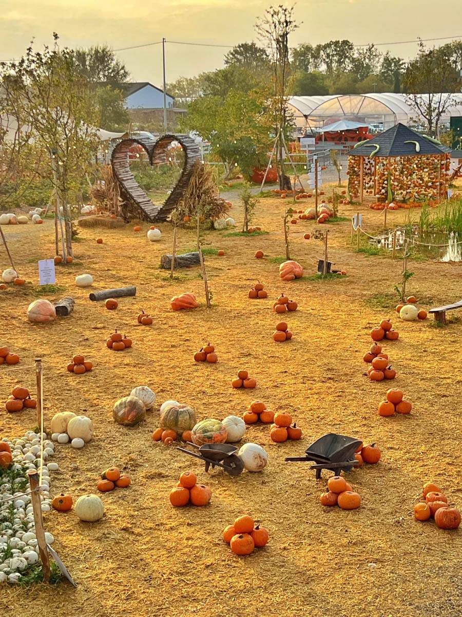 villaggio delle zucche nonno andrea