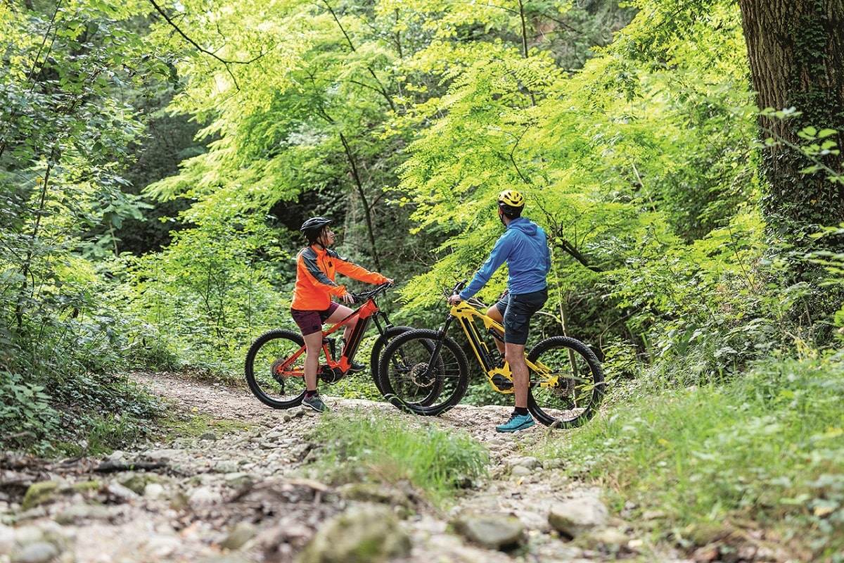 gal baldo - val d'alpone