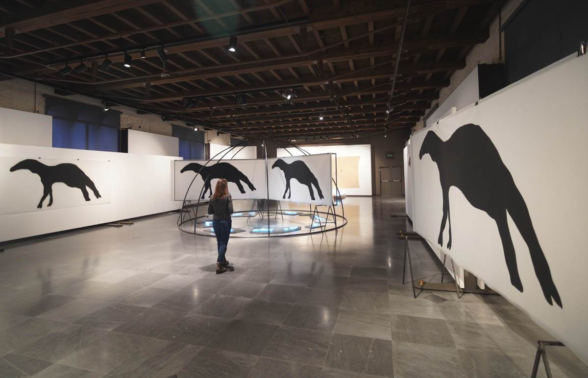 Mostra Mario Merz GAM