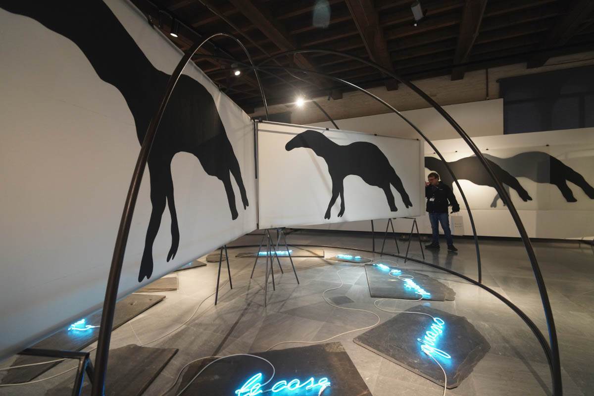 Mostra Mario Merz GAM