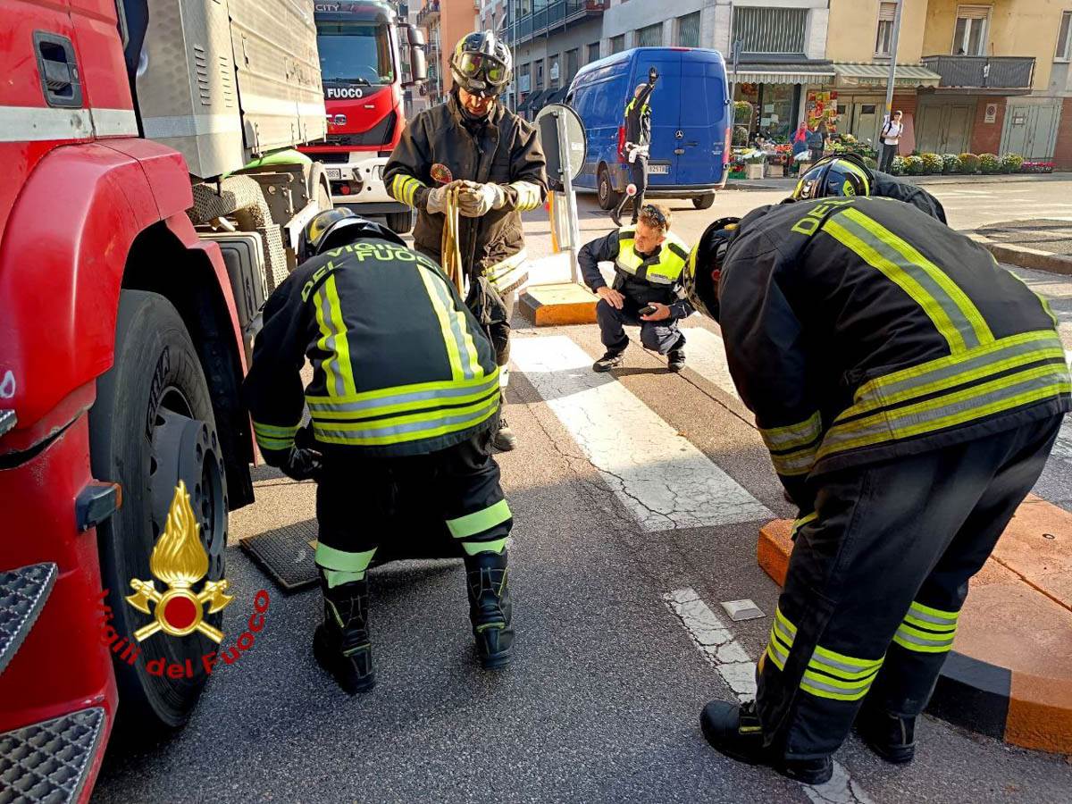 Vigili del fuoco - investita camion