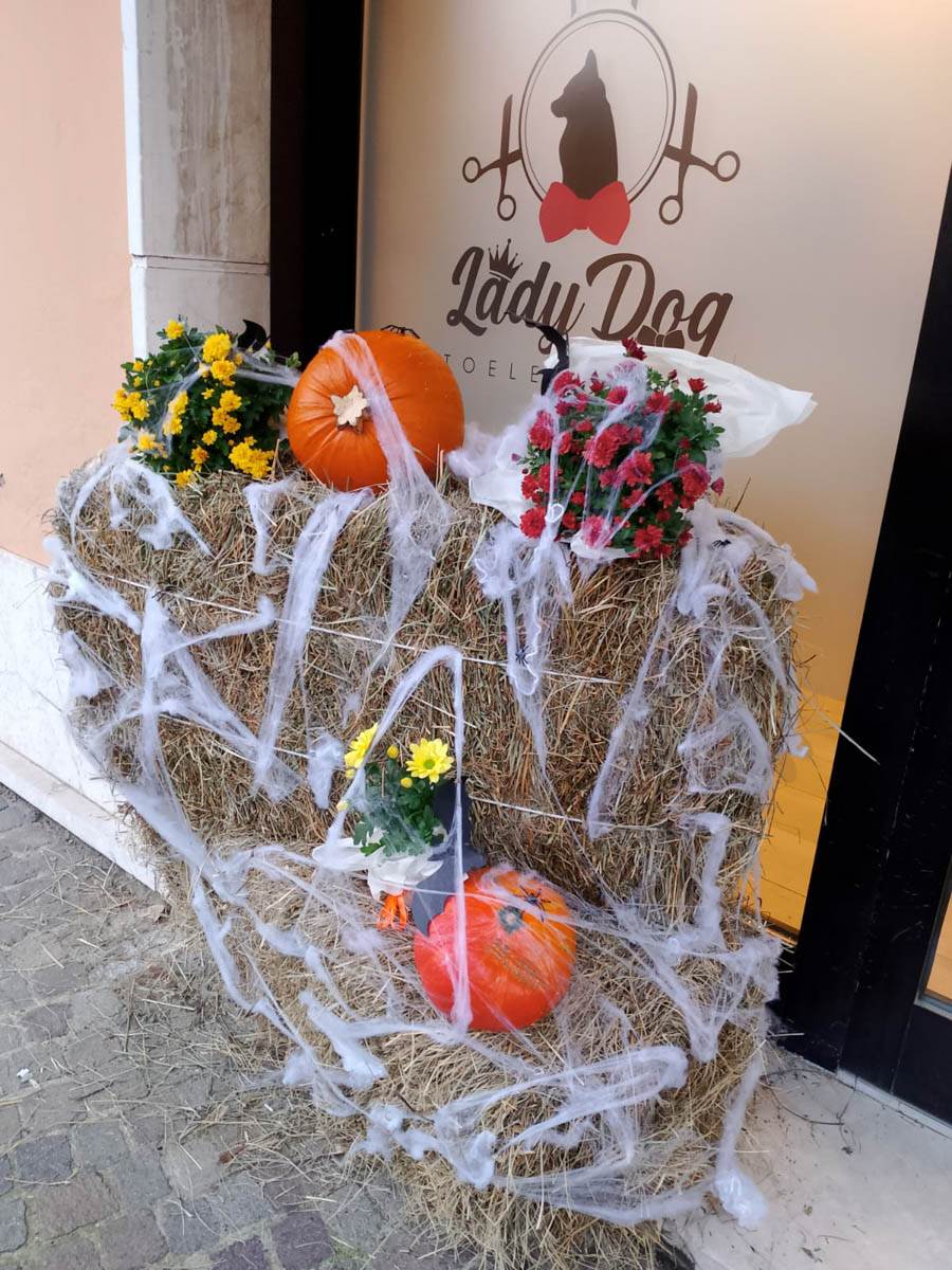 halloween san bonifacio