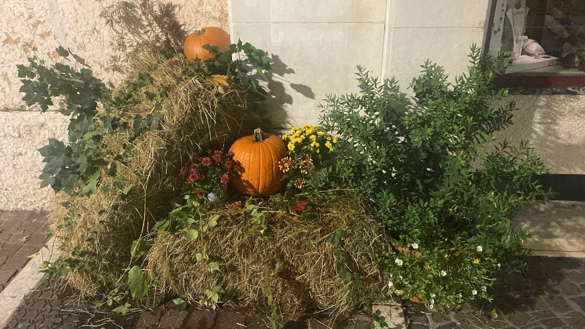 halloween san bonifacio