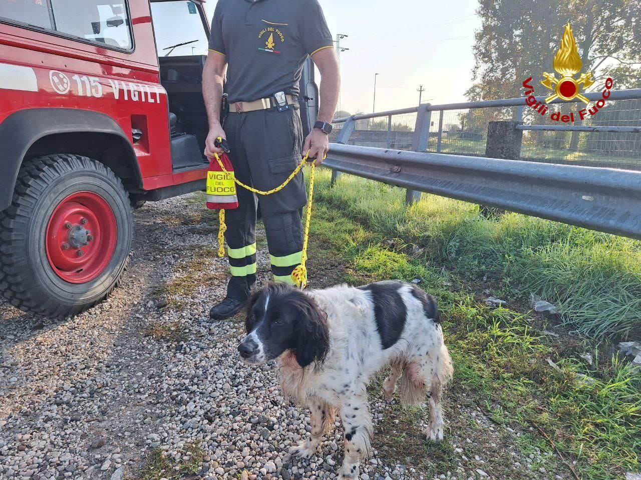 Lucy vigili del fuoco