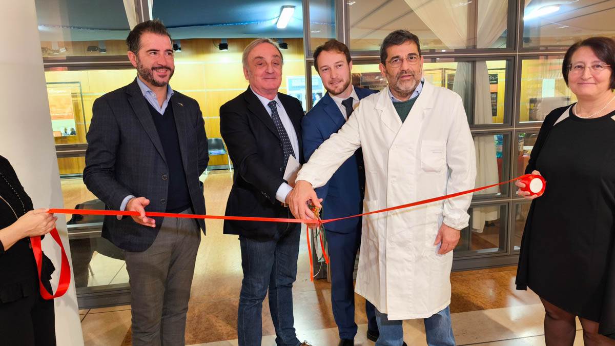 mostra enzo piccinini verona