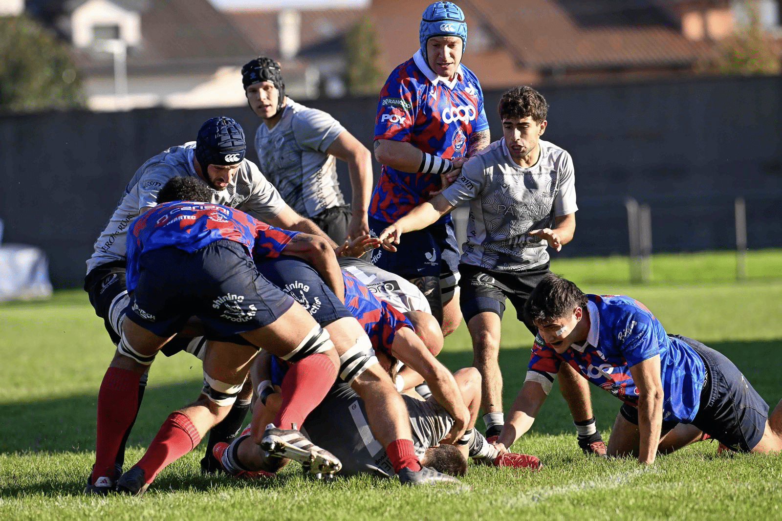 verona rugby