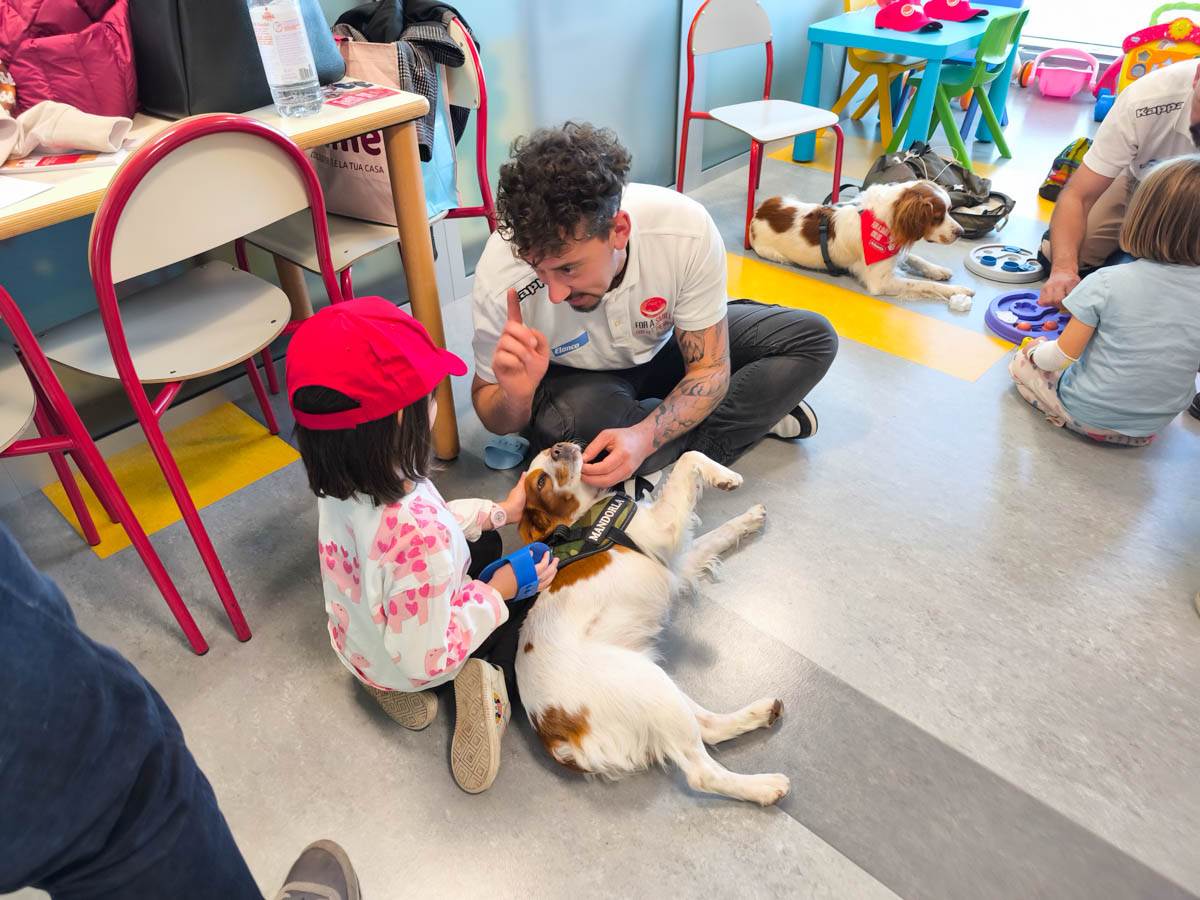 dog-pet therapy verona