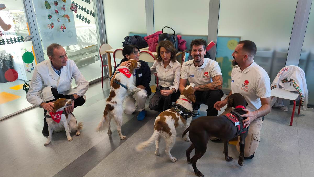 dog-pet therapy verona