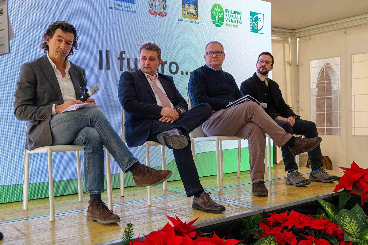 Matteo Aguanno, Ermanno Anselmi, Umberto Grigolo e Gerardo Semprebon