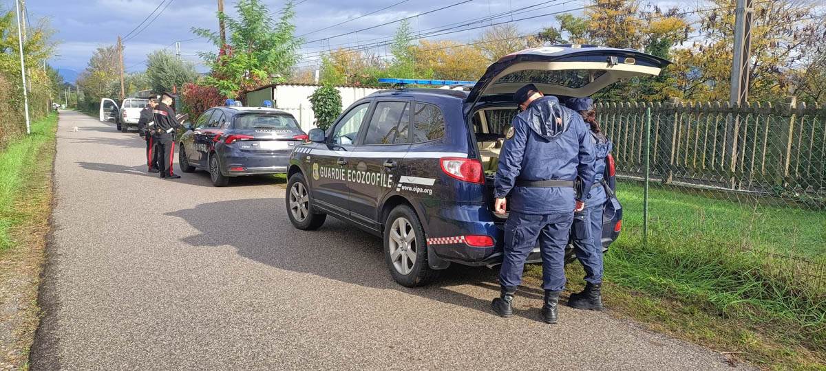 Guardie Zoofile Oipa Verona