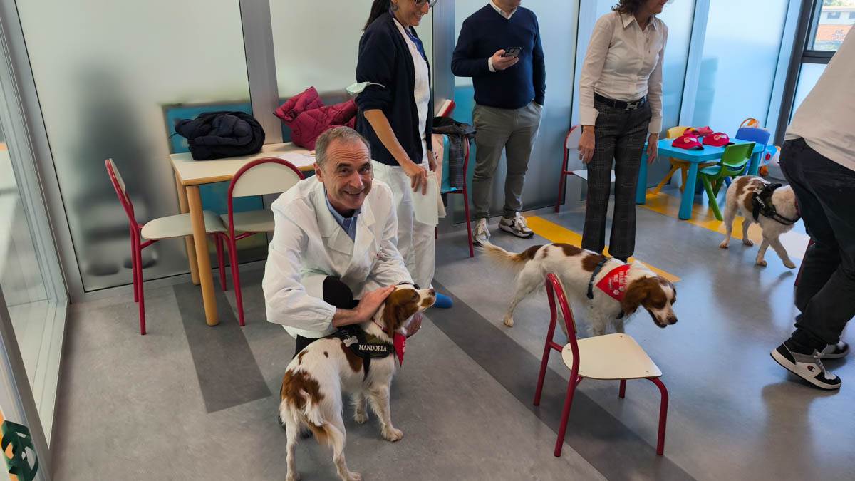 dog-pet therapy verona