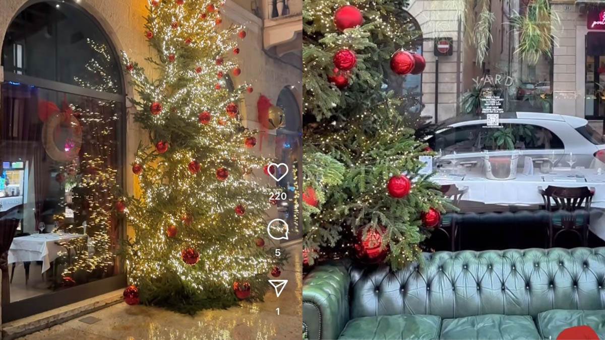 Yard ingombro albero divano addobbi