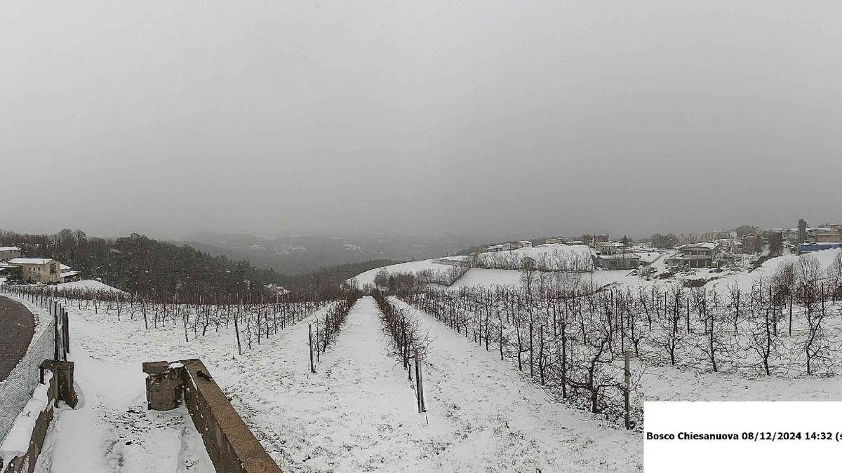 Neve a Bosco Chiesanuova