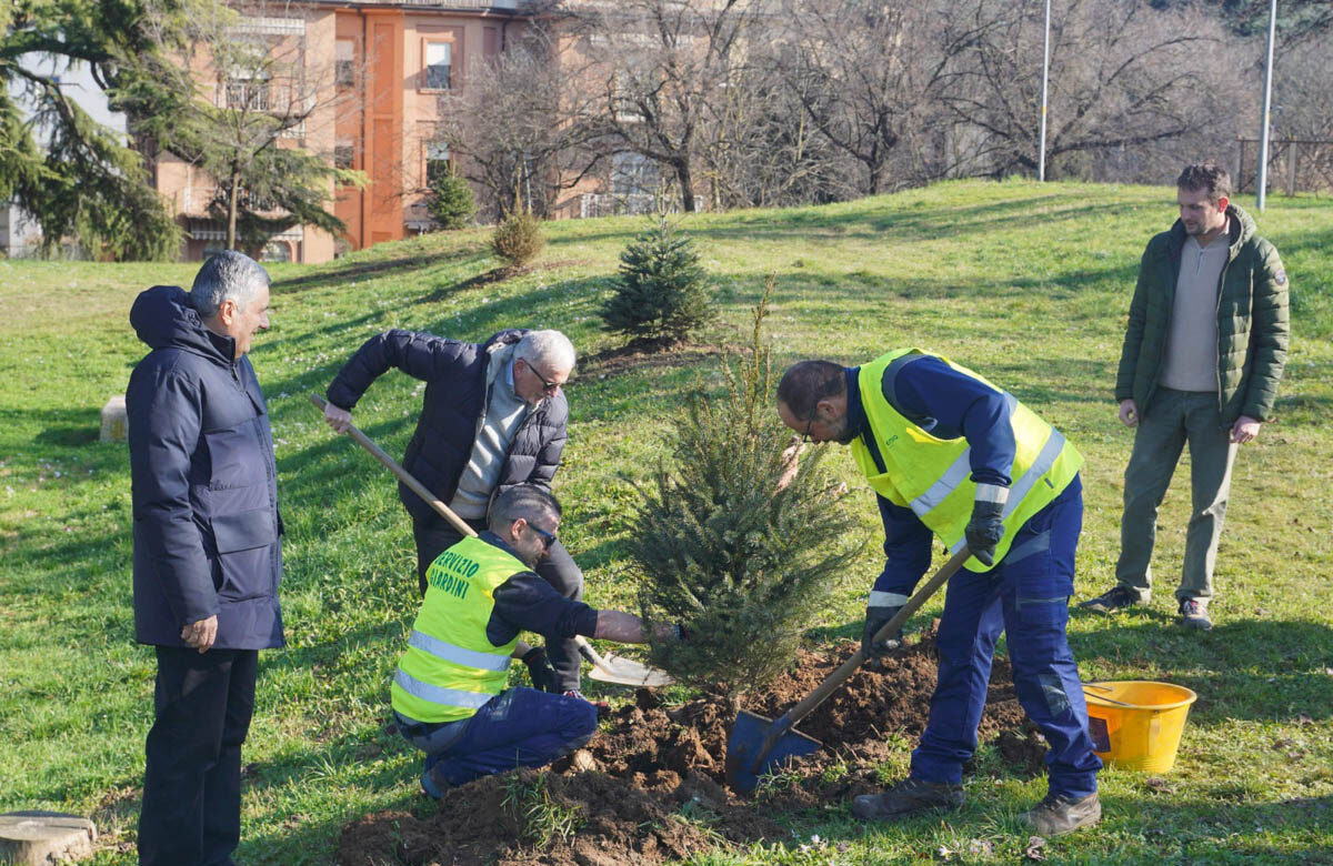 alberi bastione san zeno