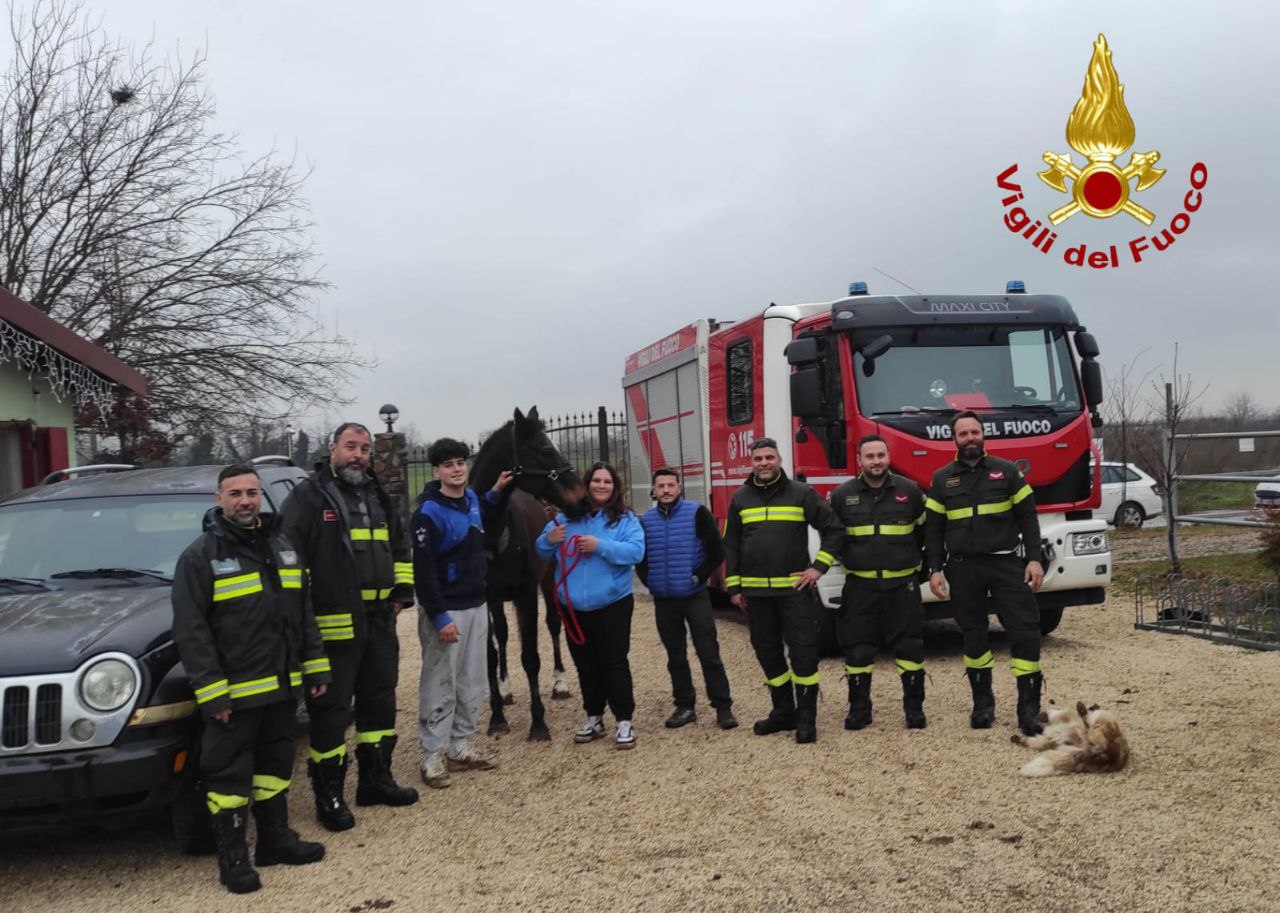 Irish Coffee cavallo vigili del fuoco Villafranca