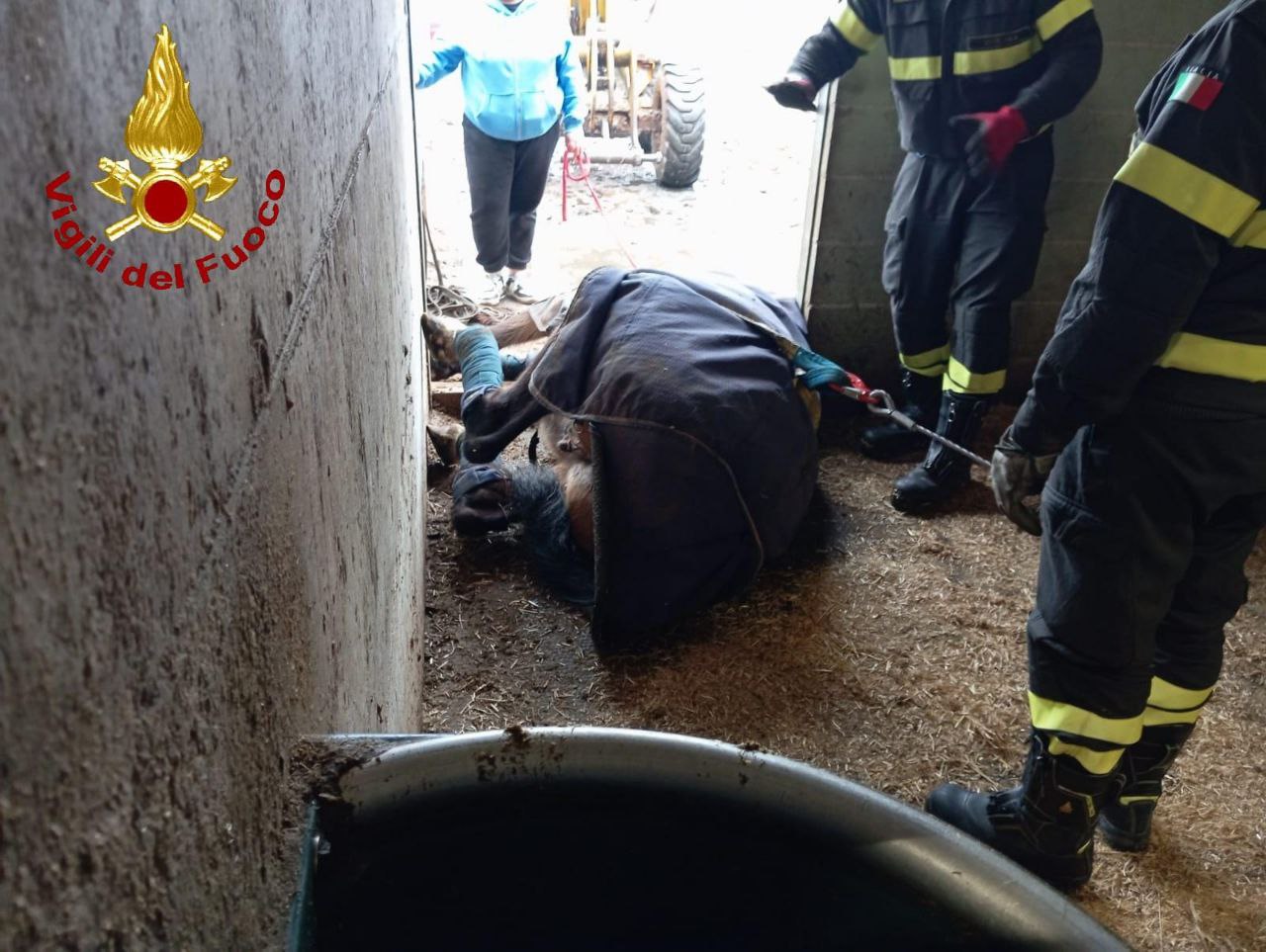 Irish Coffee cavallo vigili del fuoco Villafranca