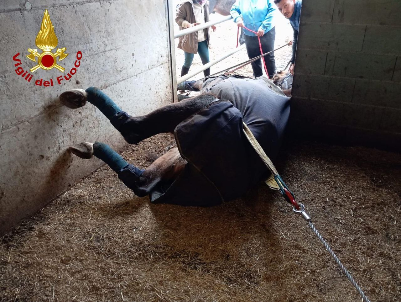 Irish Coffee cavallo vigili del fuoco Villafranca