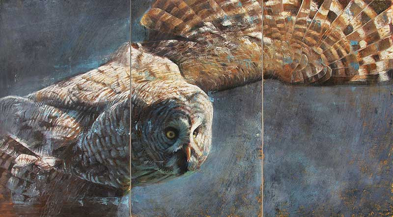 mostra samuele drago