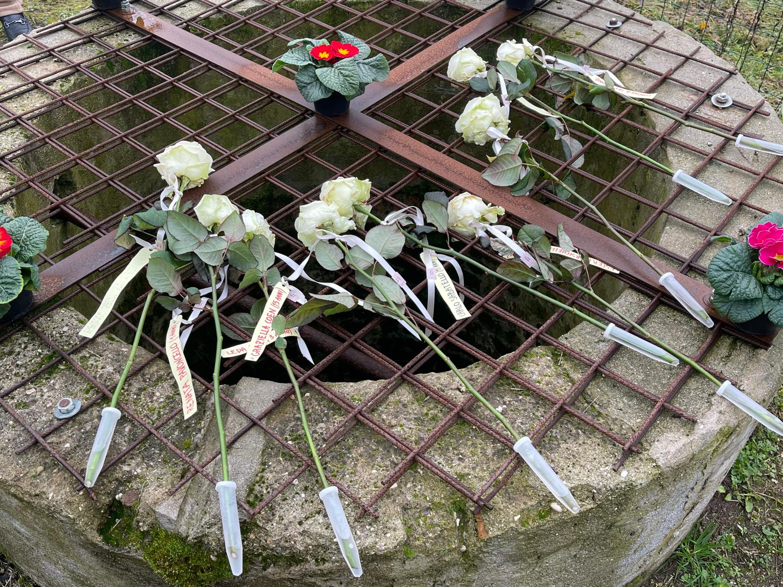 rose bianche lager montorio