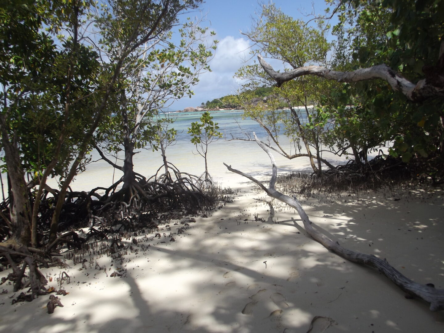 La spiaggia sull'isola di Curieuse, Arcipelago delle Seychelles