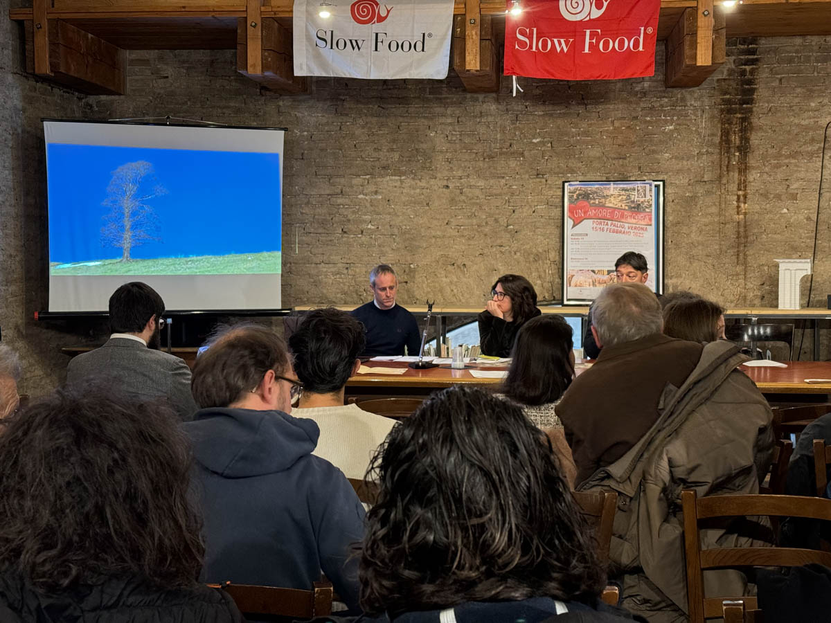 Pecora Brogna della Lessinia - convegno Porta Palio