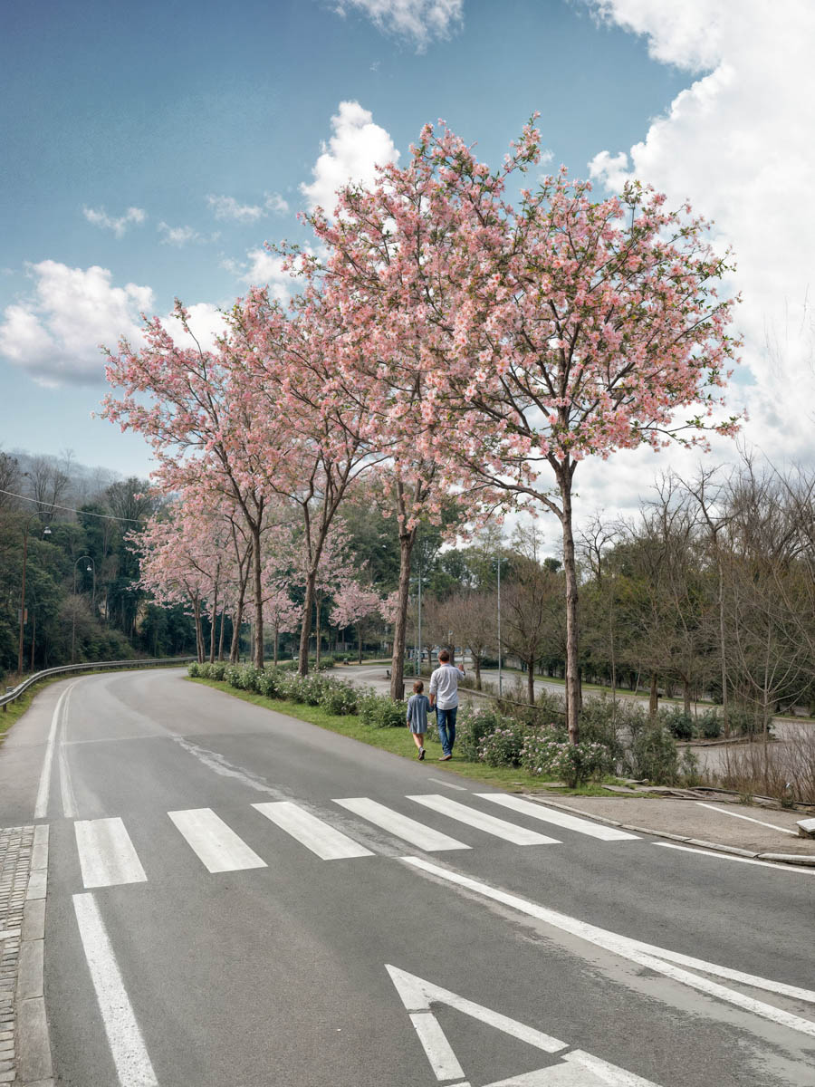borghetto viale dei ciliegi