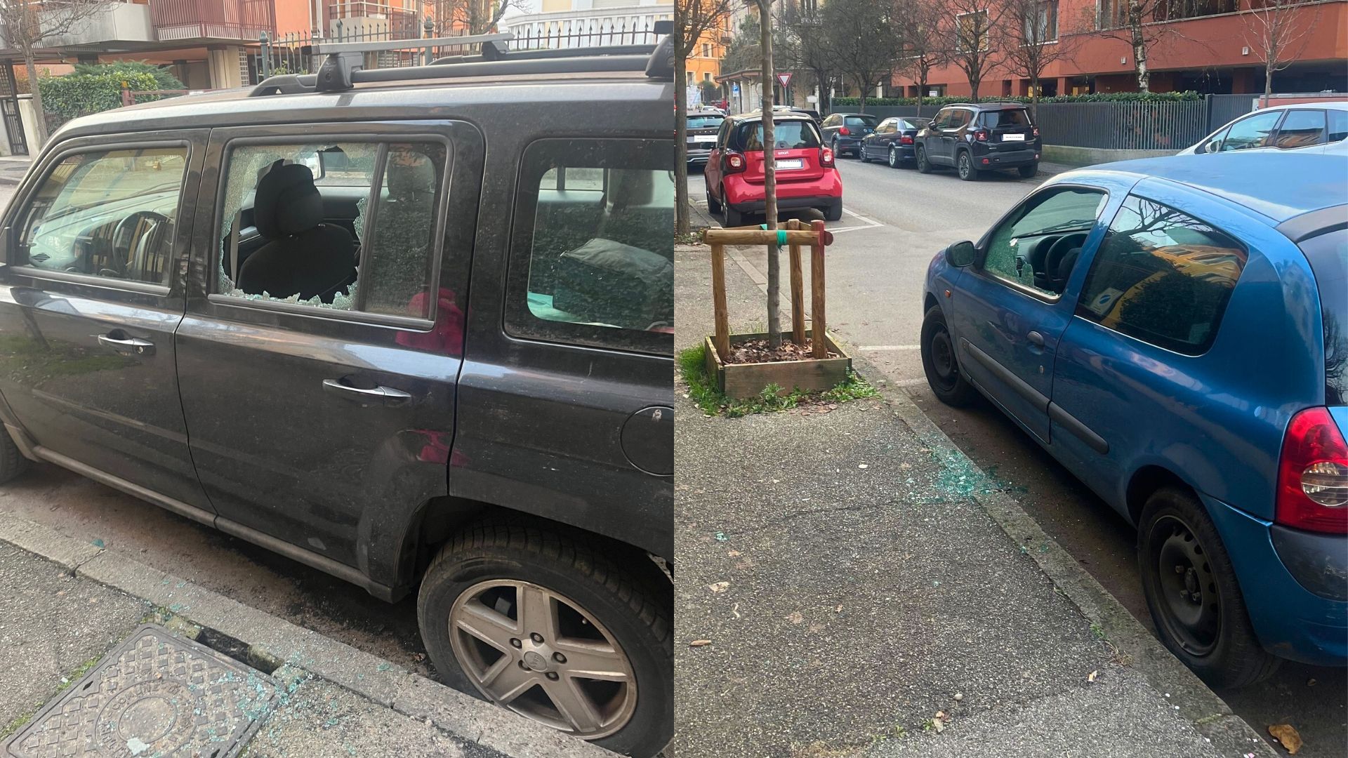 vandali borgo trento auto danneggiate vetri rotti via bezzecca