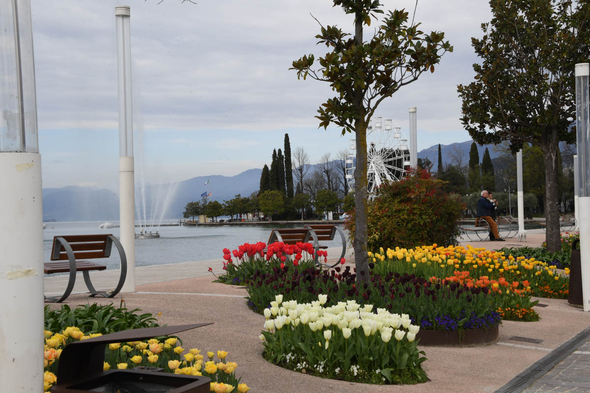 Tulipanomania Bardolino (Foto Laura Richelli) 