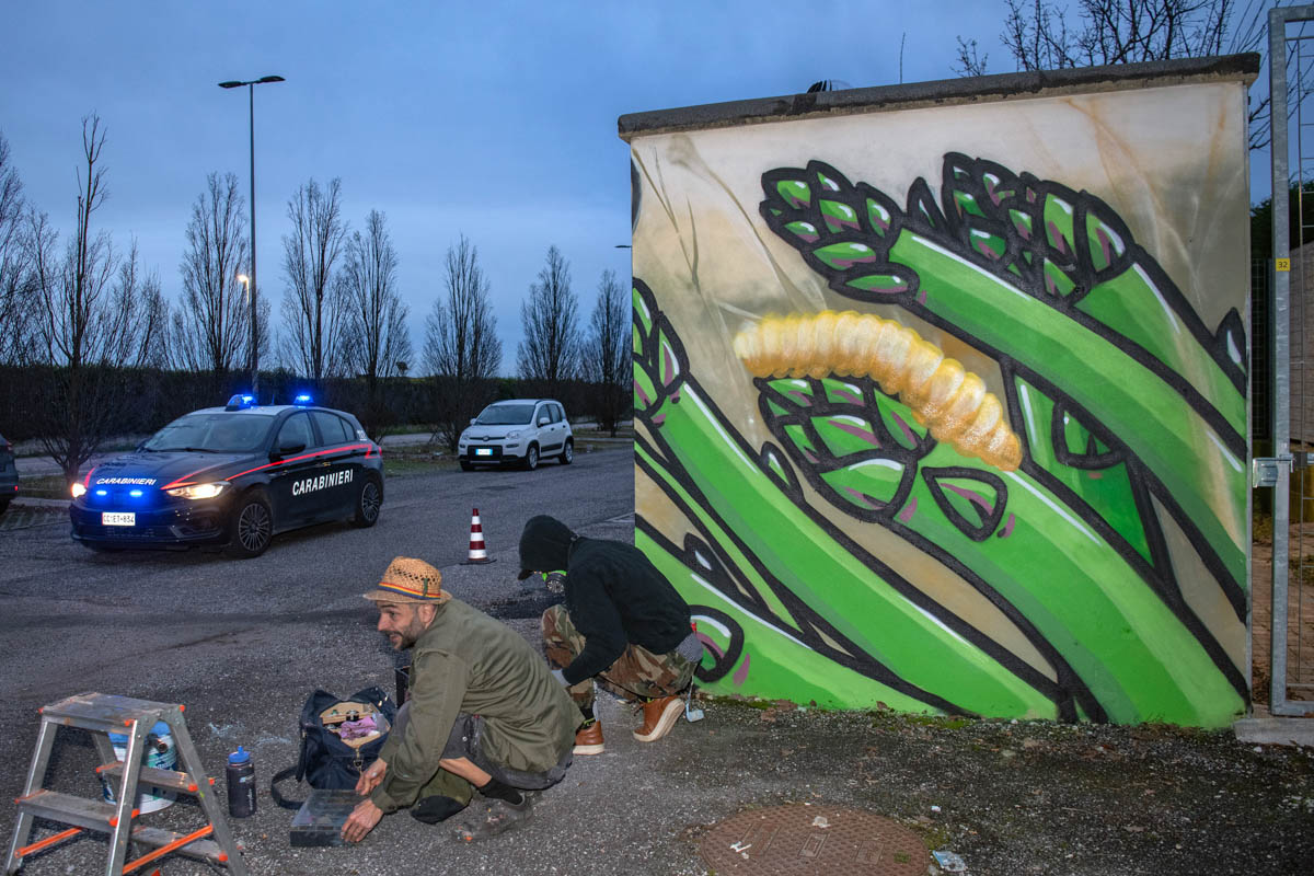 CIBO murales graffiti best before mostra