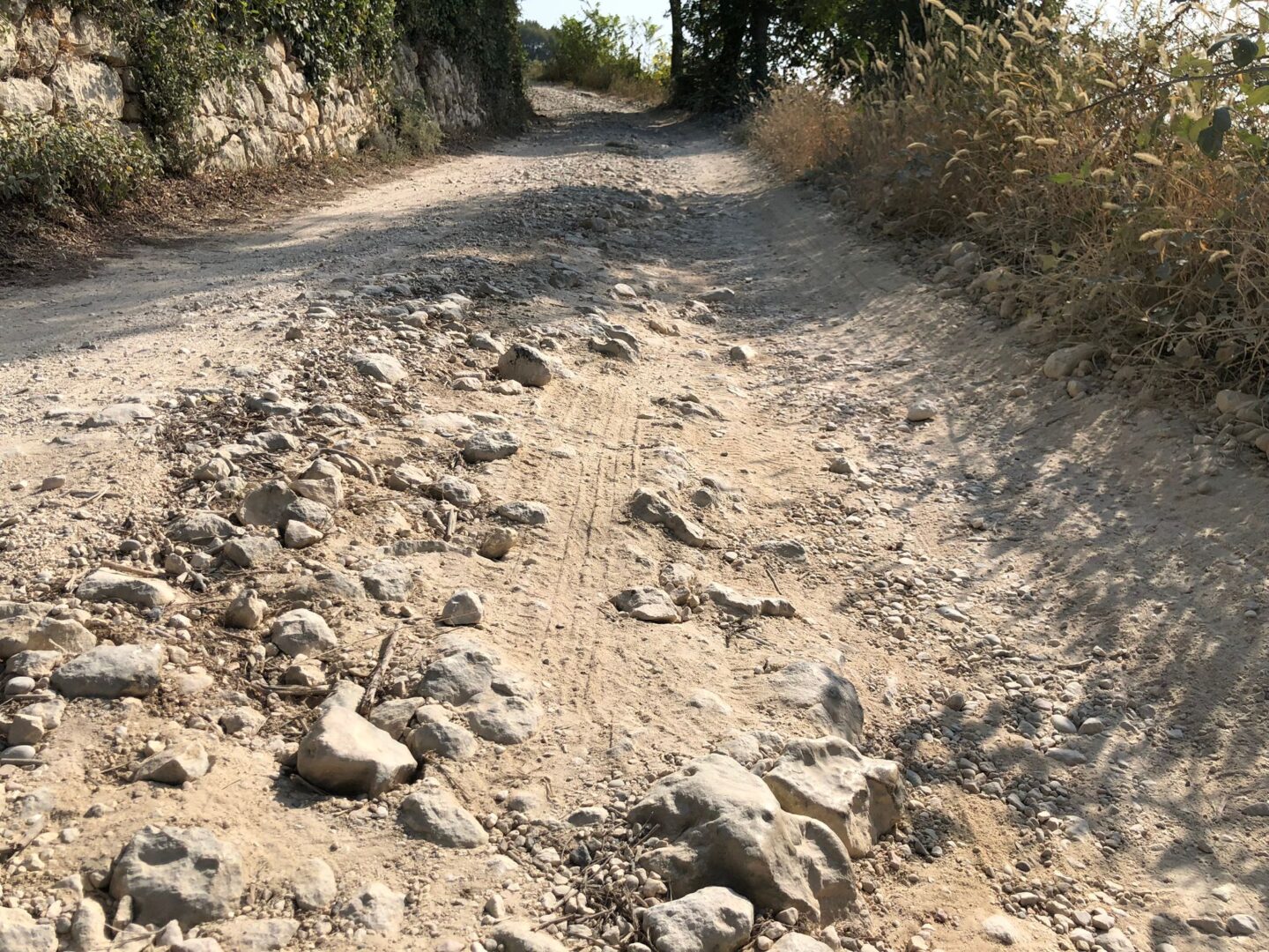 via della segheria alta