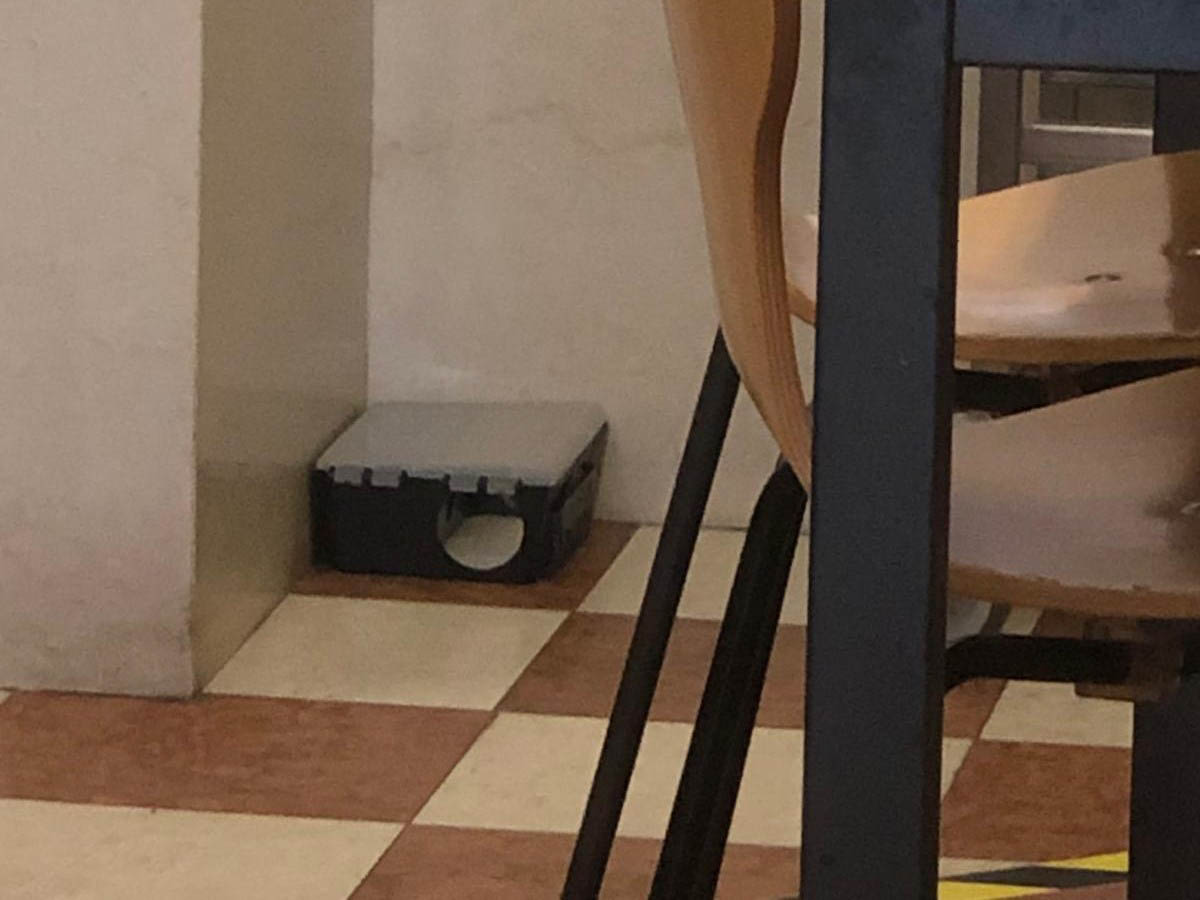 Trappola topi - Mensa provvisoria Aoui Borgo Trento