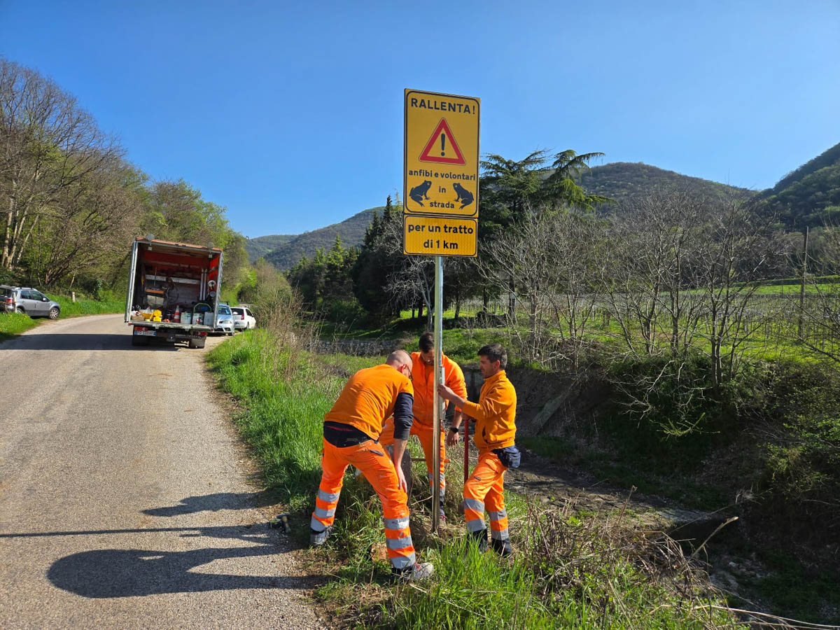 cartelli anfibi valsquaranto rospi