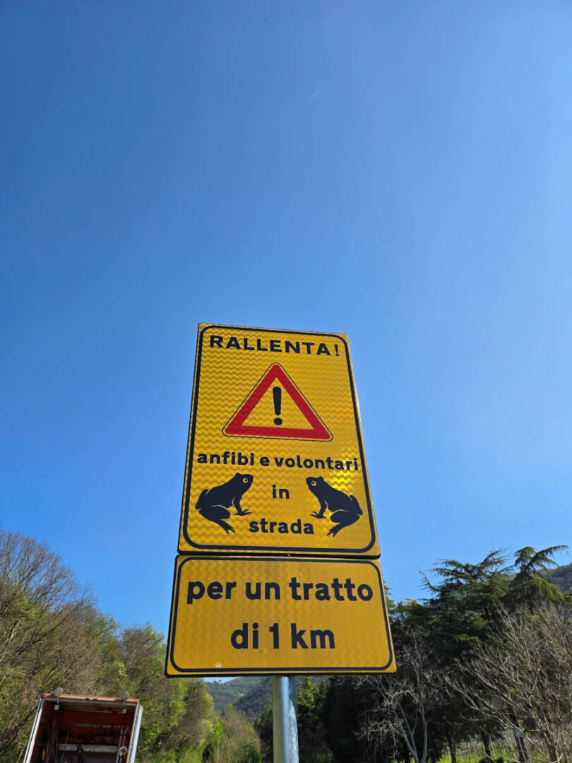 cartelli anfibi valsquaranto rospi