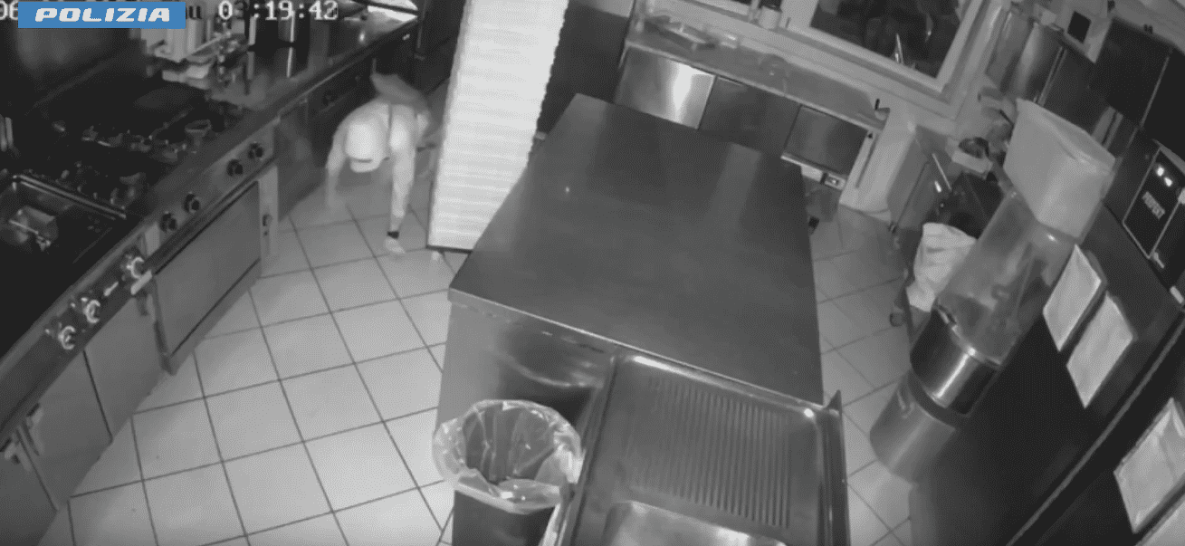 ladro gattonatore polizia di stato arresto