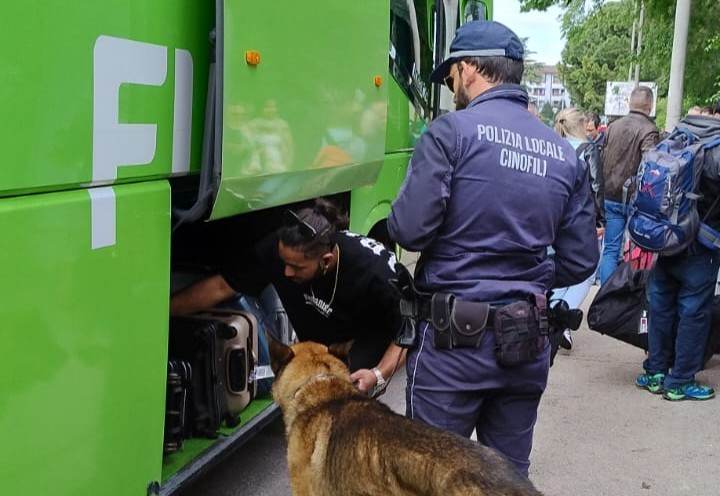 polizia locale controlli bus cinofili